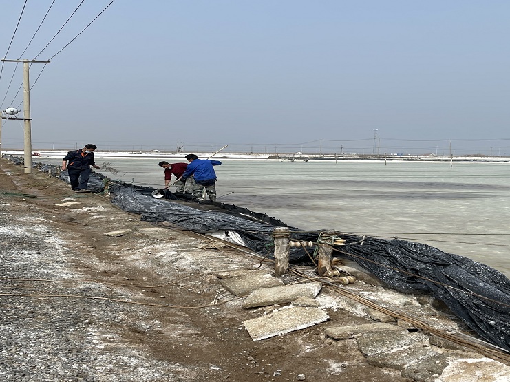 日曬制鹽2.jpg 日曬制鹽2.jpg